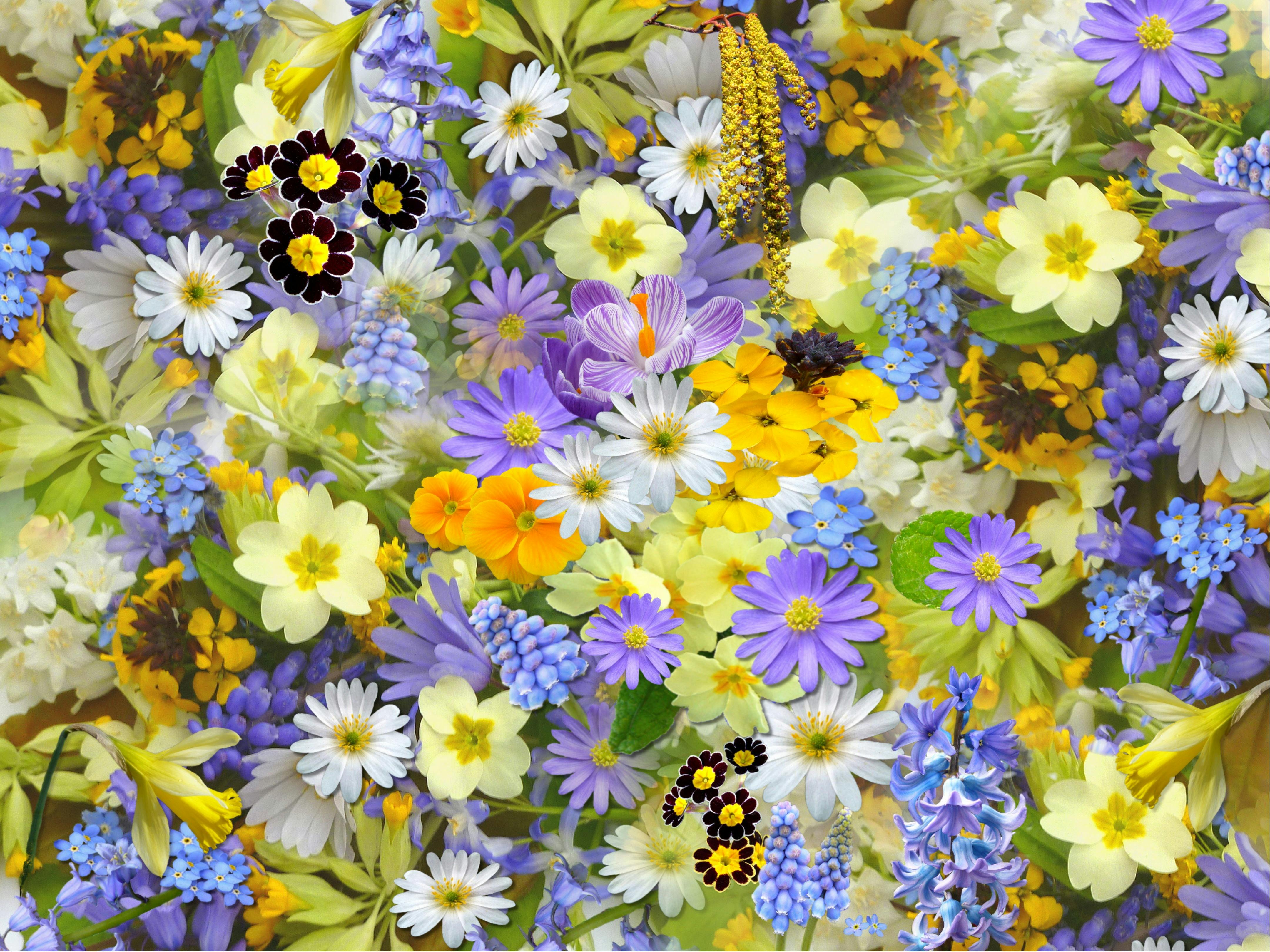 Background